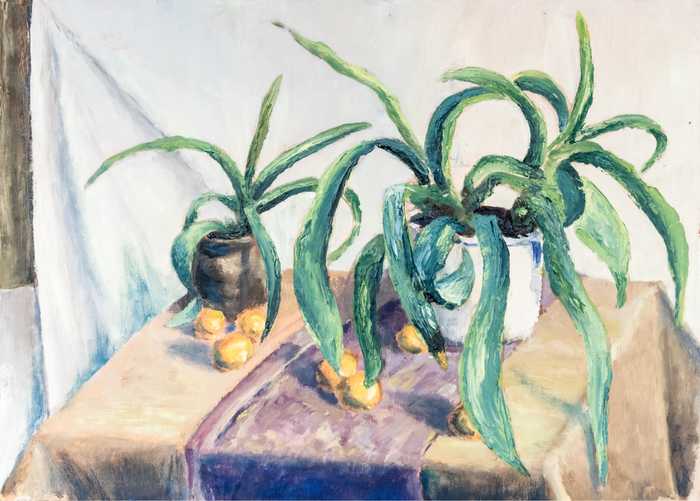 Martwa natura II 1317